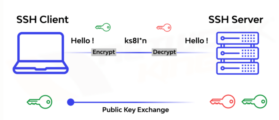 SSH：安全的网络传输协议
